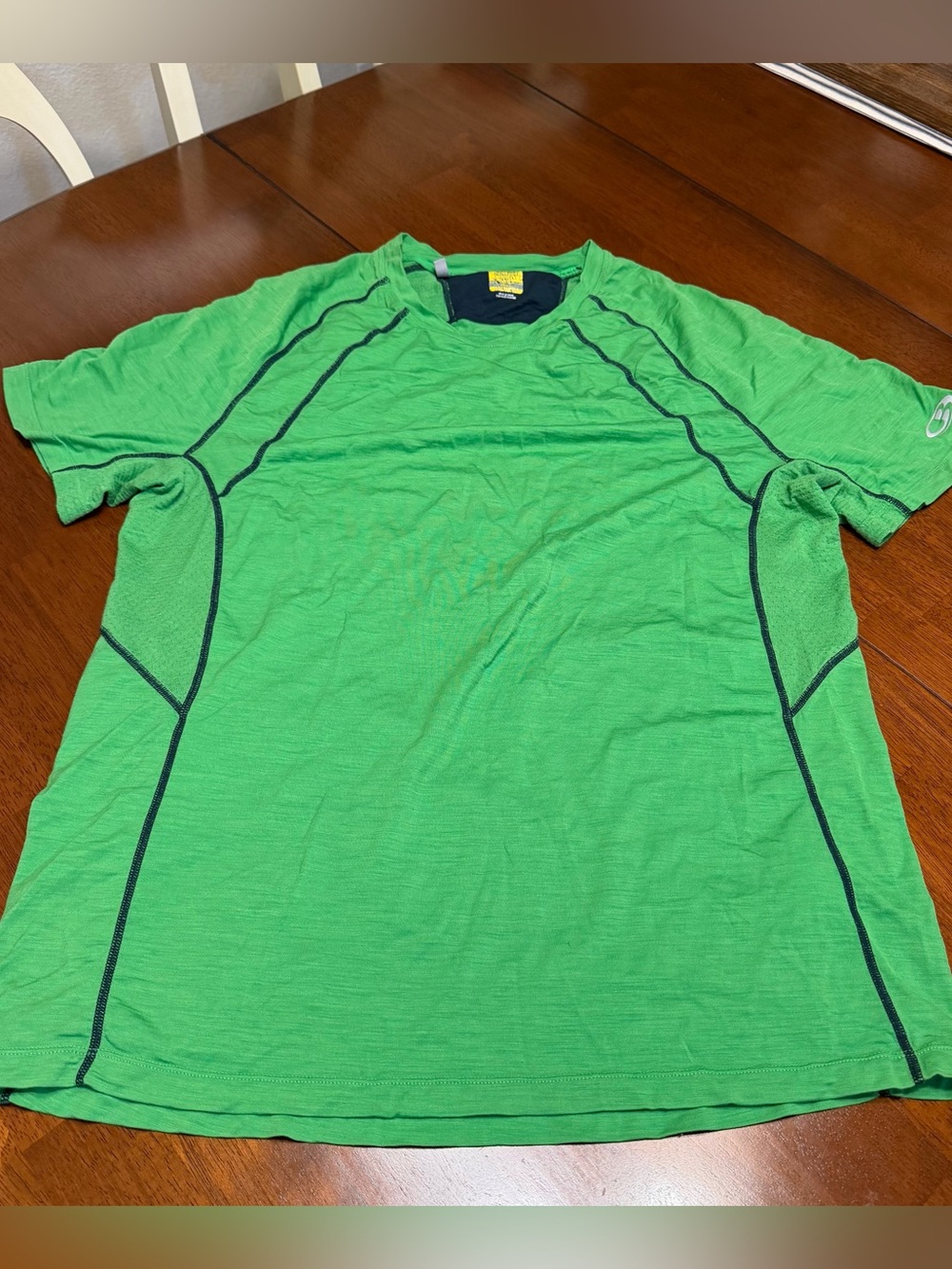 Icebreaker GT 150 Mens Large Merino Wool T Shirt Green Short Sleeve Base Layer